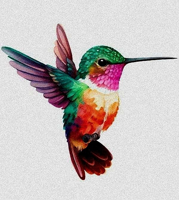Hummingbird. Acrylics & water color painting on canvas #birds #hummingbird #wildplanet