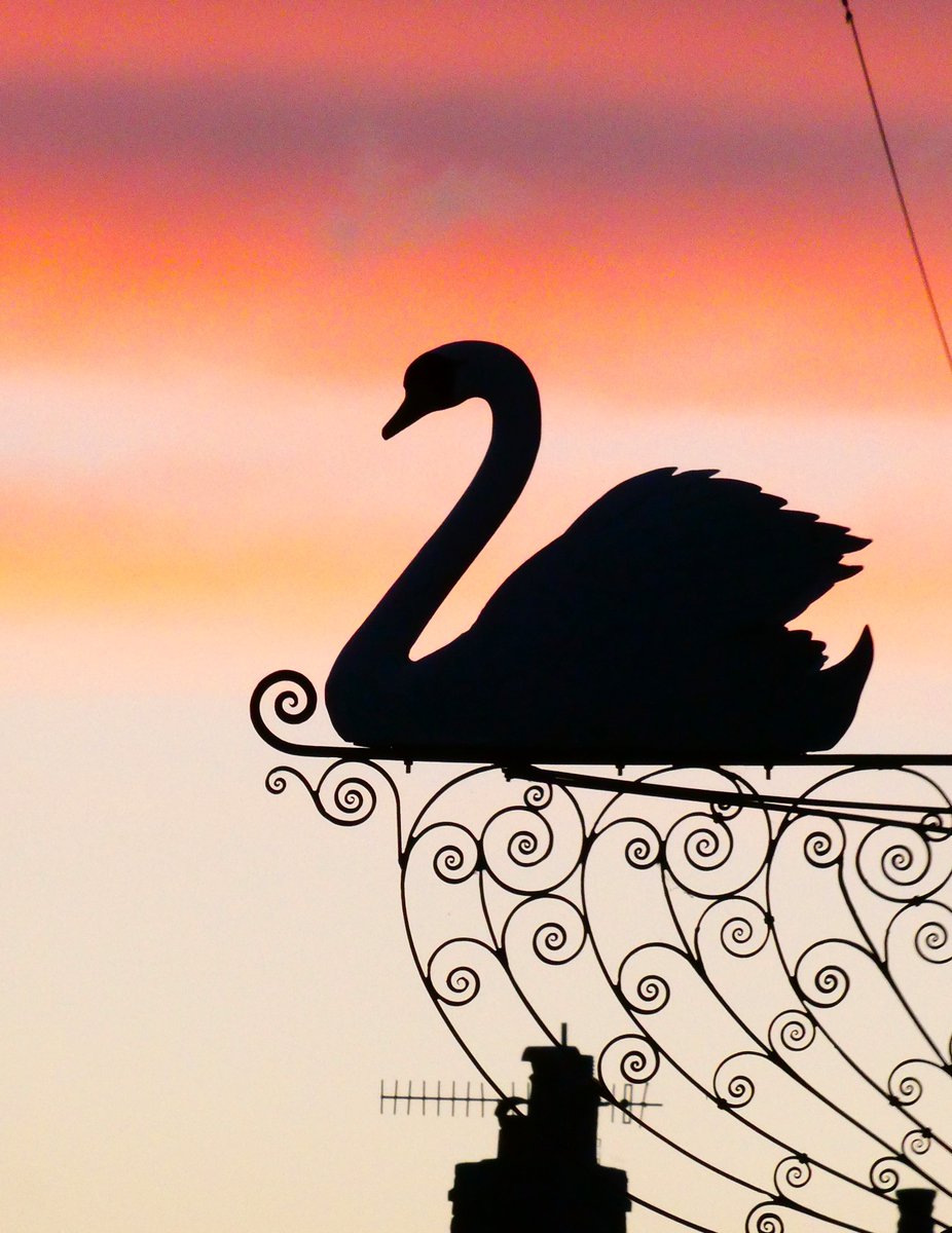 Odette to Odile 🖤🦢🖤
The sign at The Swan, #Southwold, morning & evening.
#Swanday