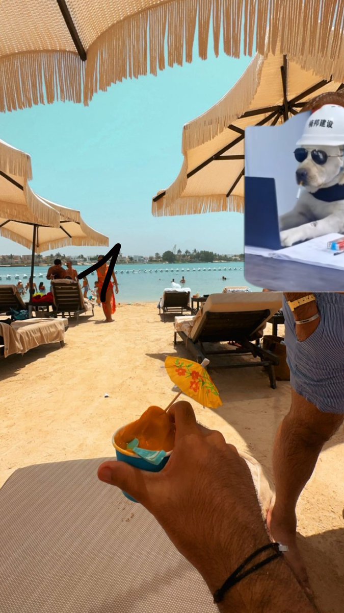QQa_ht's tweet photo. tanning🌊. https://t.co/7DRoPKtnEl