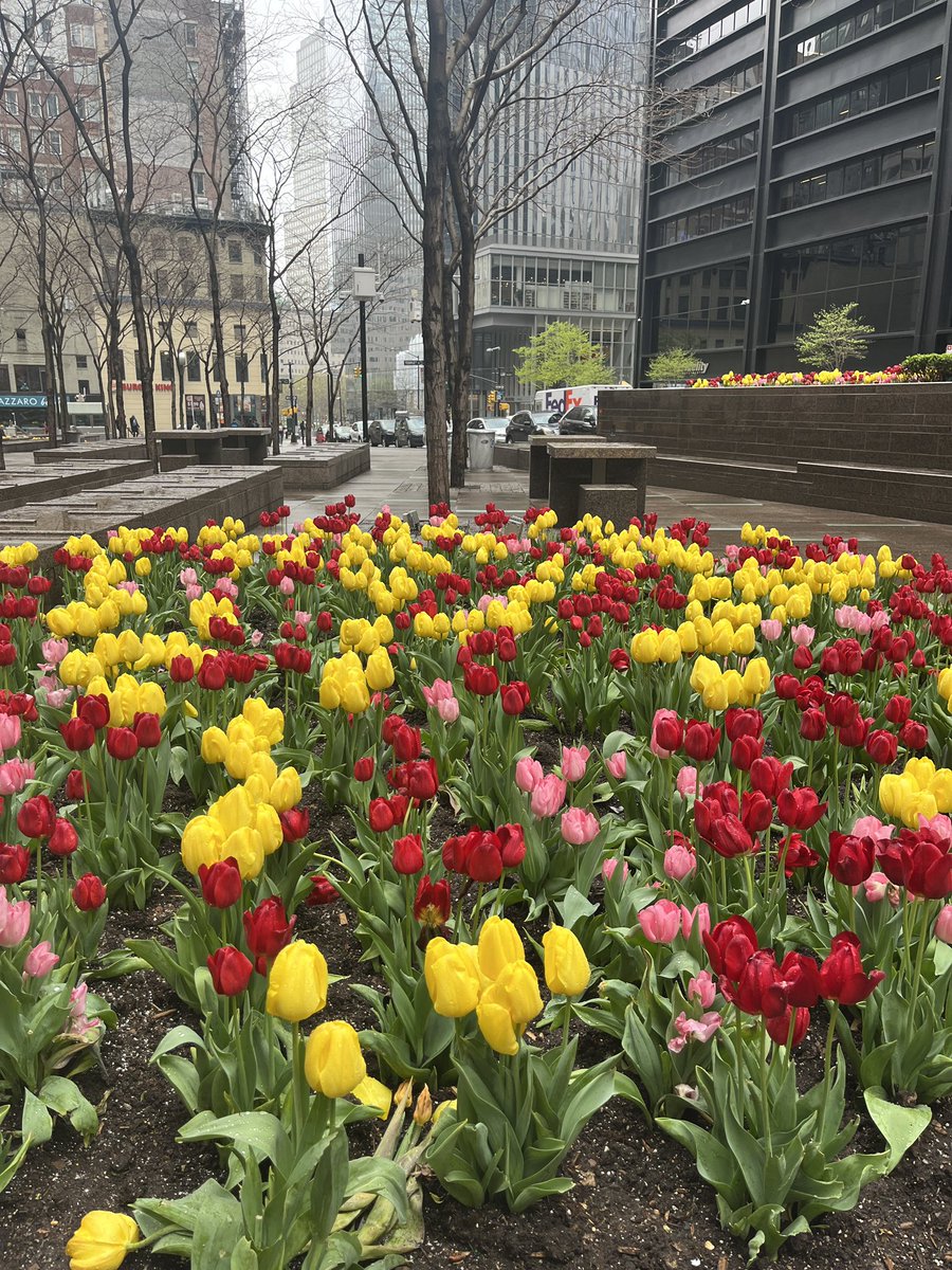 mmdevoe's tweet photo. Okay everyone. Reset. Back to one. 

Places. Quiet on the set! Slate: Springtime2024 take two! And. We’re rolling. #Springtime2024 #Spring #NYC #newyorkciry https://t.co/JncOfJT4ru