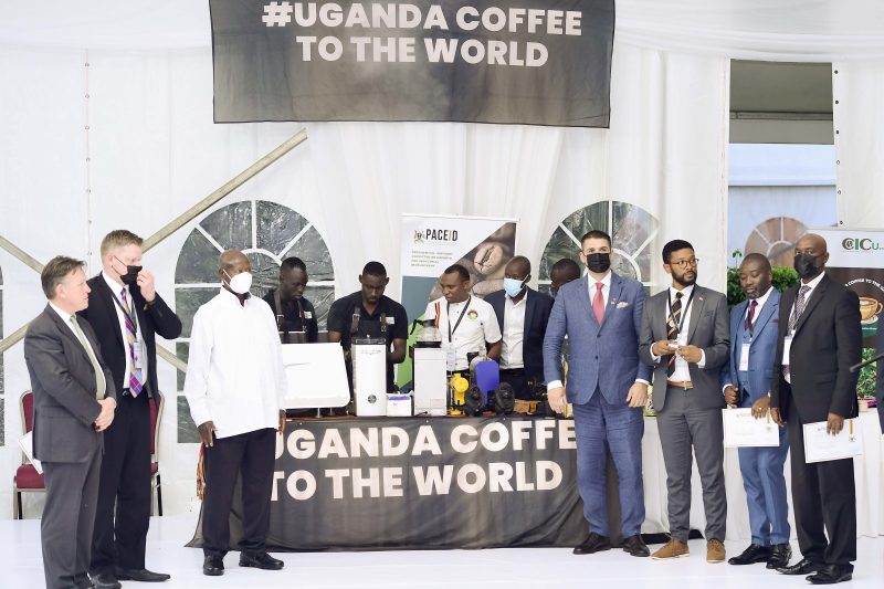 Kabushenga: Uganda Coffee Tragedy - #ChimpReportsNews #Opinion chimpreports.com/kabushenga-uga…
