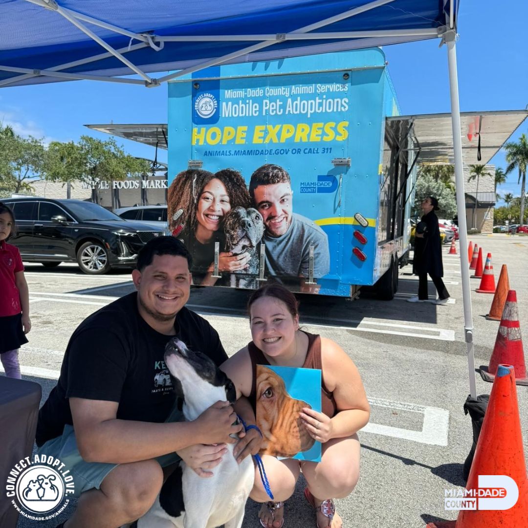 🌟🐾 It's been an extraordinary week filled with joy! Our shelter sweethearts have found their forever families! Kudos to our incredible adopters – your kindness knows no bounds! 🐾🏠 Dive into our bio to learn how you can change lives through adoption.