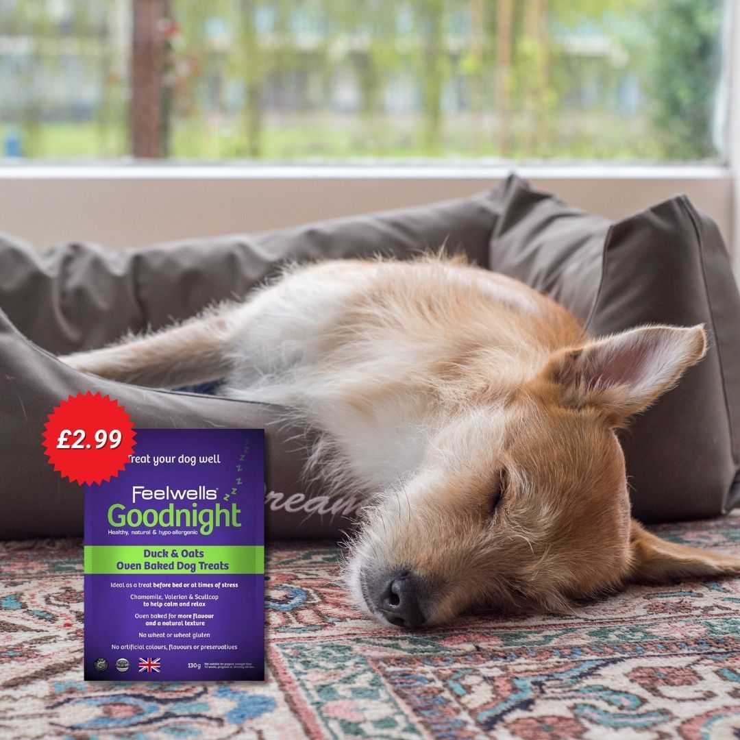 Did you know most adult dogs need around 12-14 hours of sleep a day?⏰ Help your furry friend stay calm and relax ready for bedtime with Feelwell’s Goodnight Treats 💤 Try today: buff.ly/3KQUHkj #Feelwells #Sleep #Goodnight #Relax