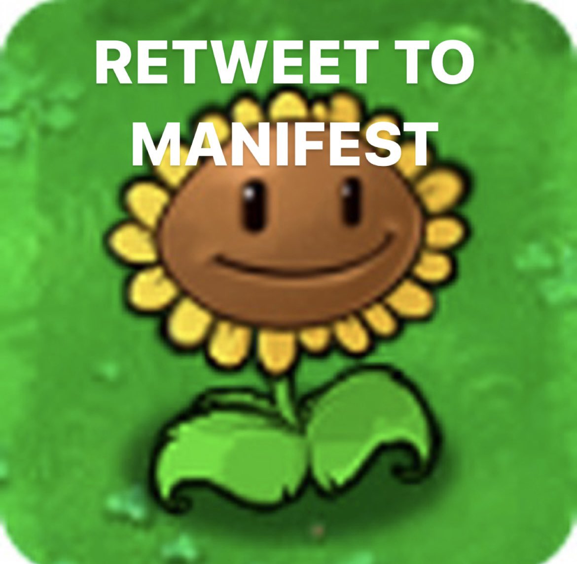 Zymdex, RPh, RChT tweet media