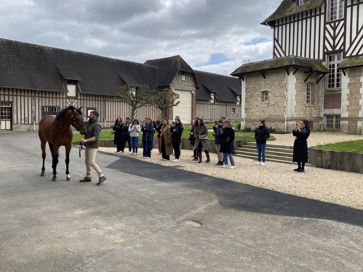 Au @HarasBeaumont avec équipe du Championnat des Grandes Ecoles après un déjeuner fort sympathique avec ces jeunes cavaliers qui découvrent les courses et l’élevage. Merci pour votre accueil @ChehboubPauline Emilie et Mathieu Alex