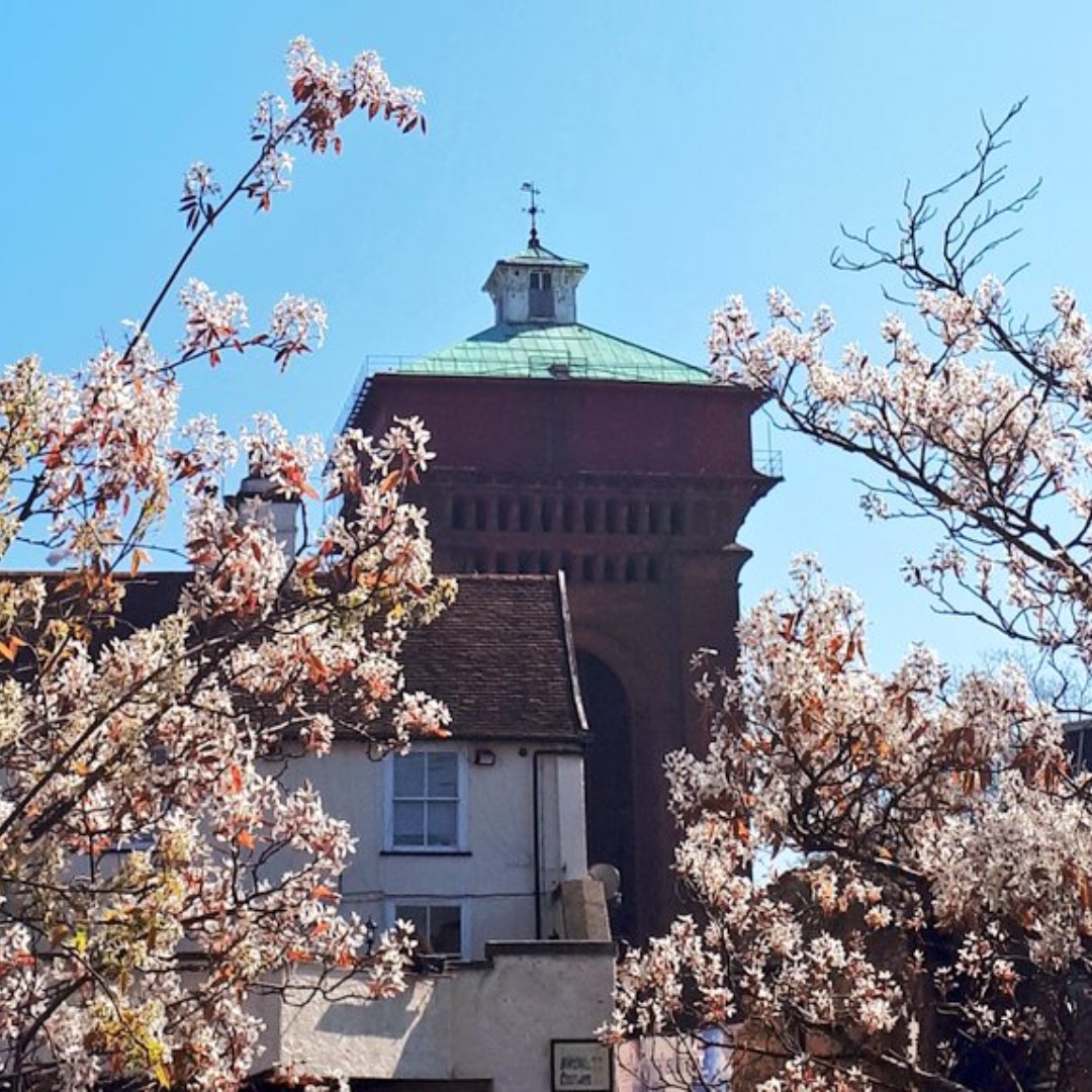 We love a celebrity endorsement! 🌟 Great news, as renowned comedian and president of @theVicSoc, Griff Rhys Jones, has championed the preservation of our beloved Jumbo water tower! 🎉 We're thrilled to be supporting @ColchesterBPT in this project!