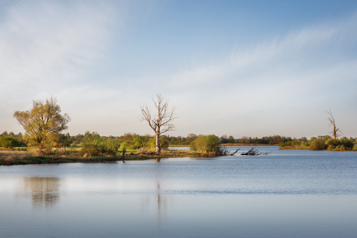 Beautiful floodplains of the Bug River in the light of the setting spring sun.
•••
#landscapephoto #landscapephotography #outdoorphotography #mazovia #sunsetlovers #sunsetphoto #springphotoshoot