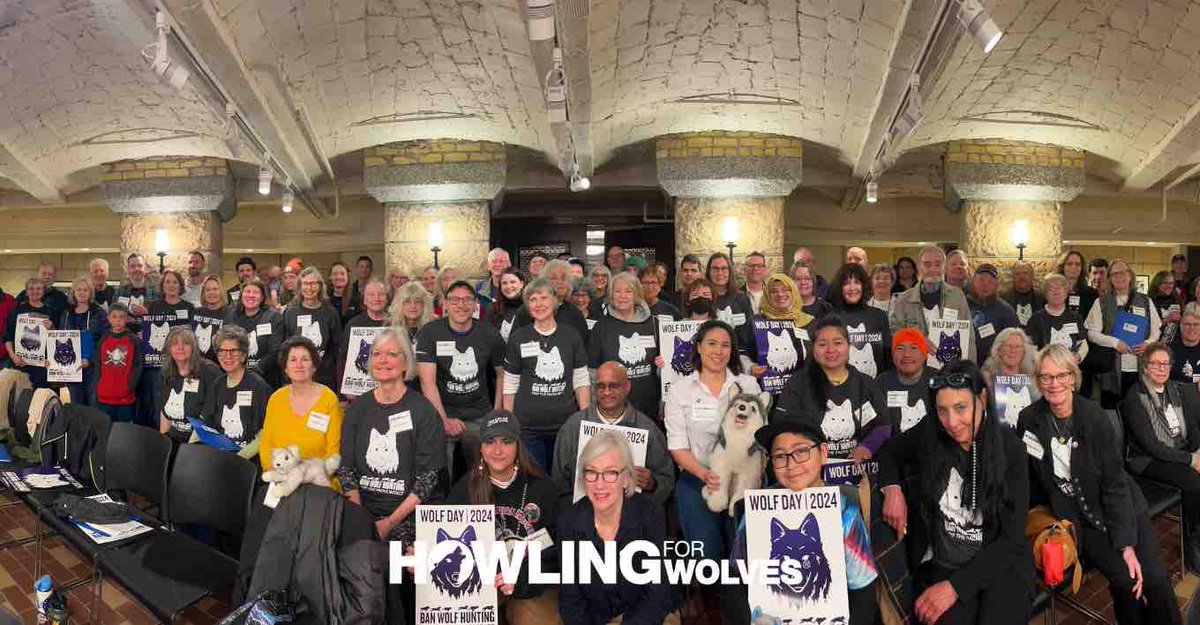 Howling4Wolves tweet picture