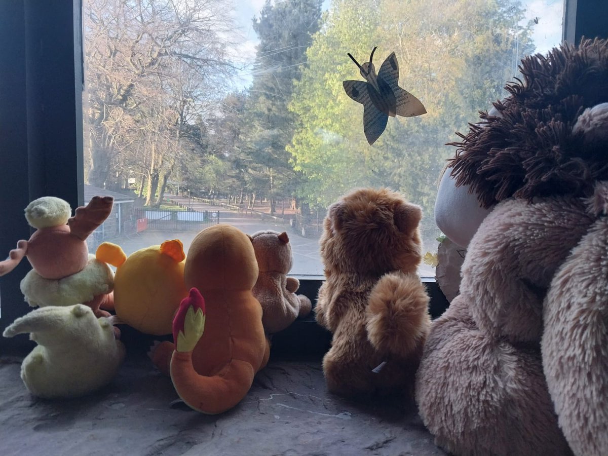 Ah what a day and a night and a day!😝 So many mysterious things have happened in the Storybarn we don't even know where to begin! Thanks to all the Teddies for scrubbing the toilets and cleaning our windows over night! We can see clearly now the rain is gone! ☀️