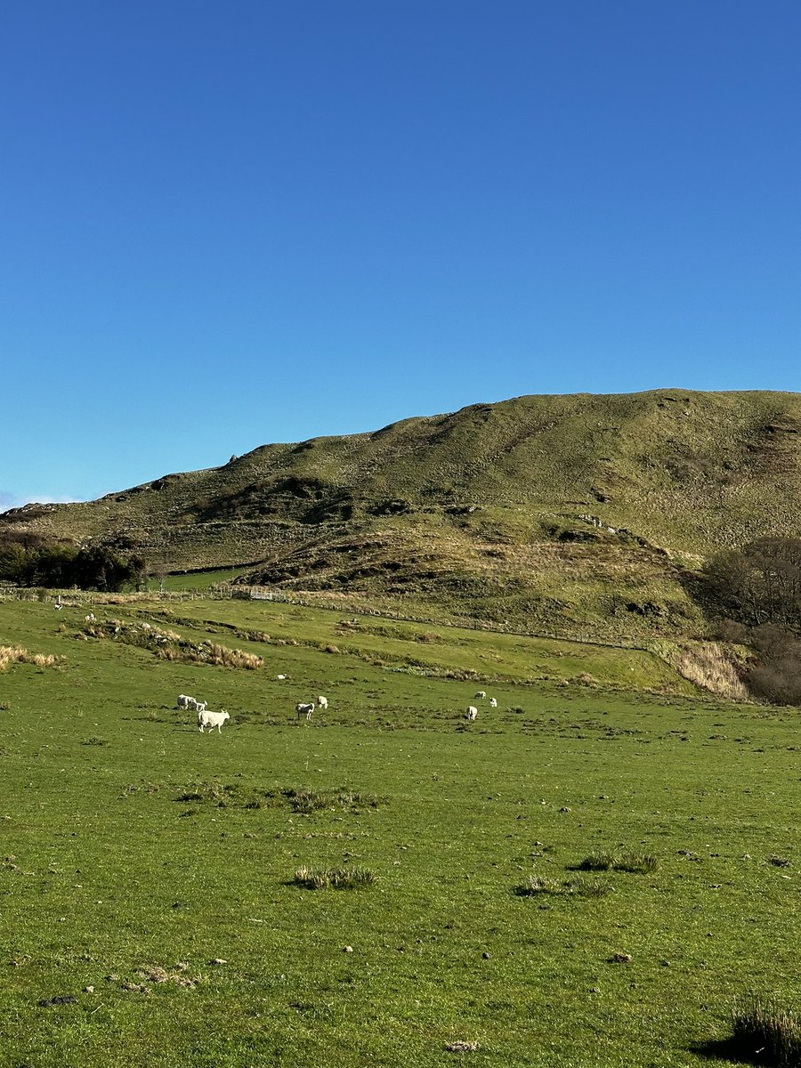 Finally spring has arrived and lambing is in full swing at the farm! 🐑

Finally, I’ve managed to take time out from IACS and slurry store applications to spend two weeks #lambing at home since moving home. Glad to see the back of the wind and rain!