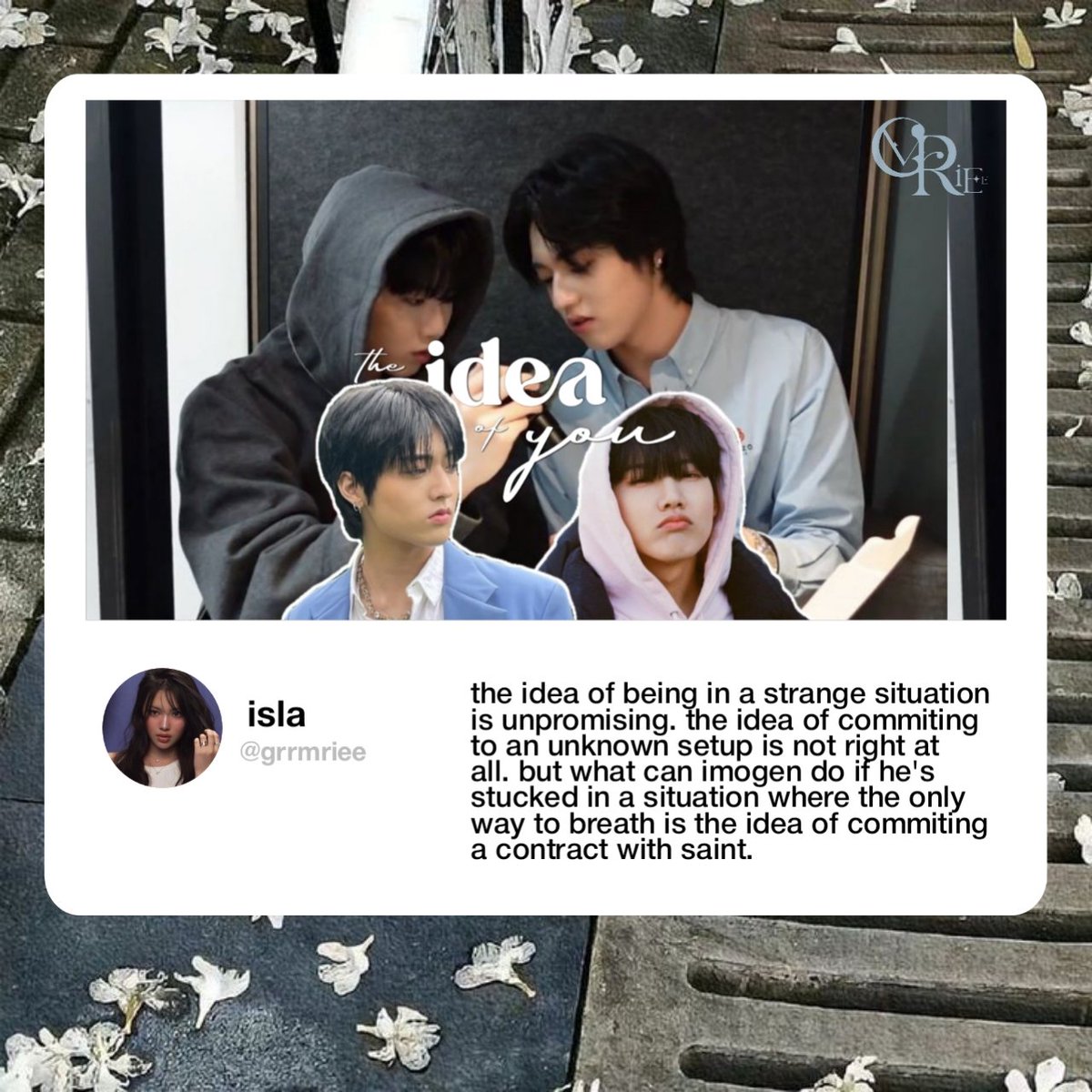 isla | check bio tweet media