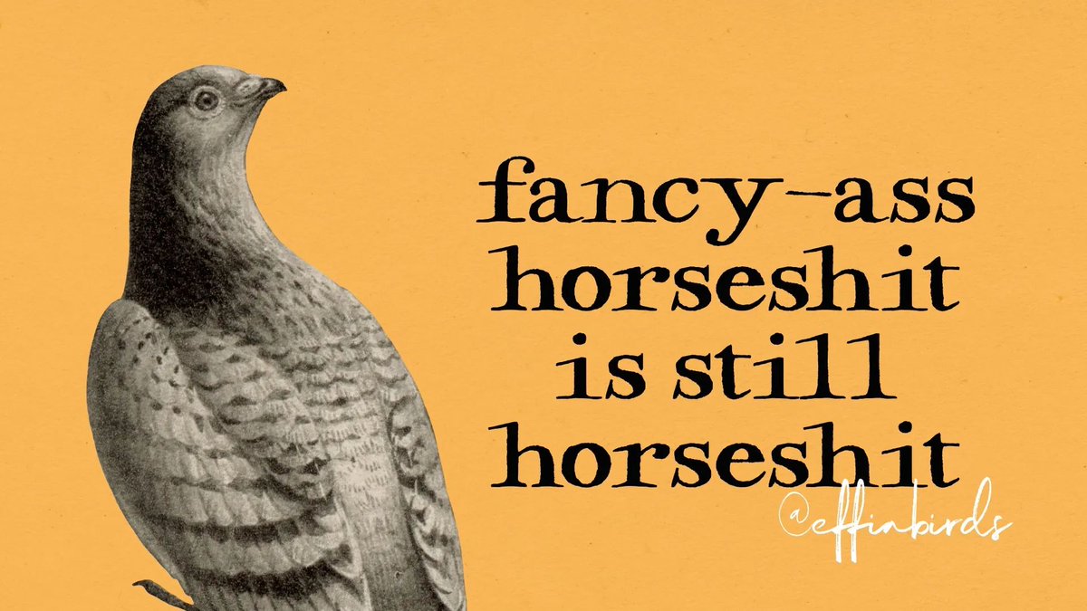 EffinBirds's tweet photo. https://t.co/cQNZHdTW6b