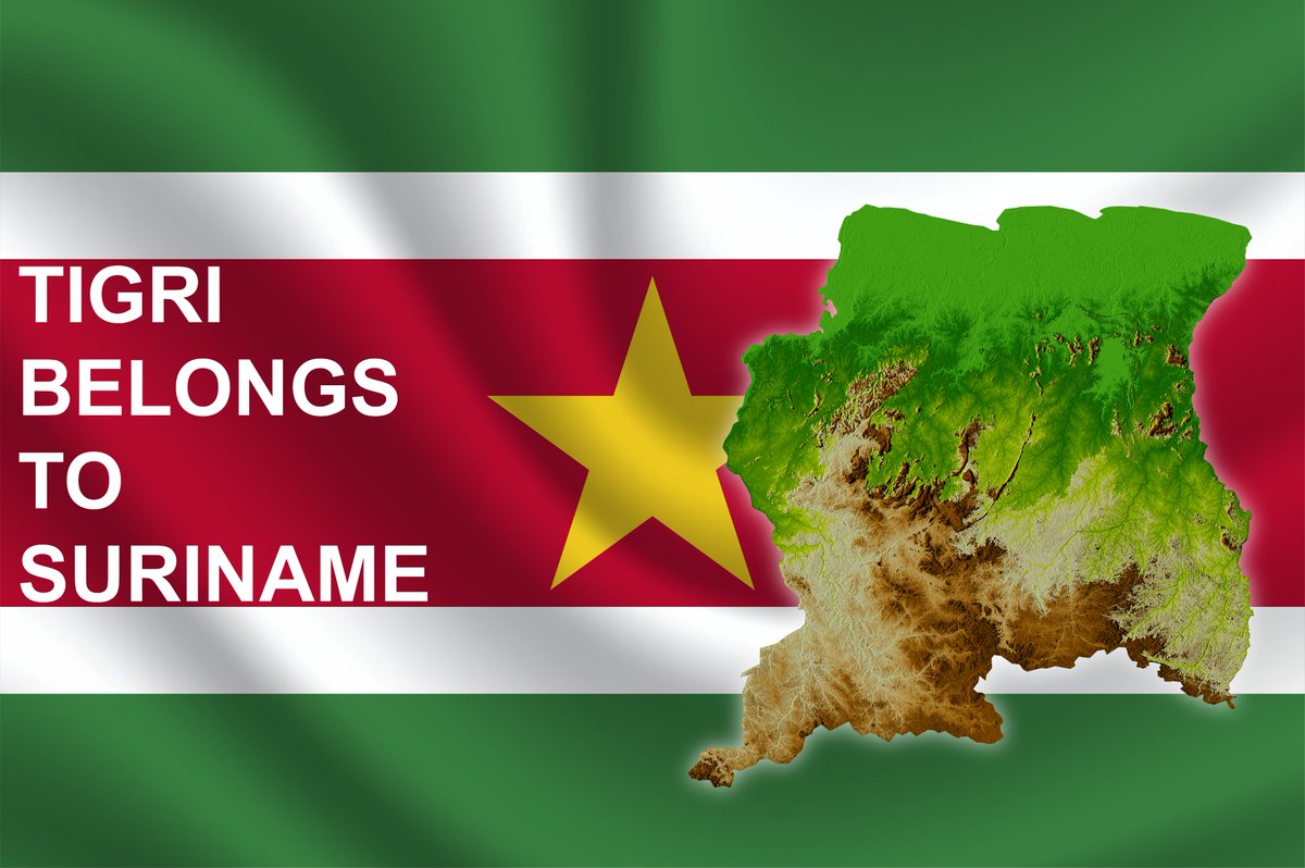 Tigri Belongs to #Suriname