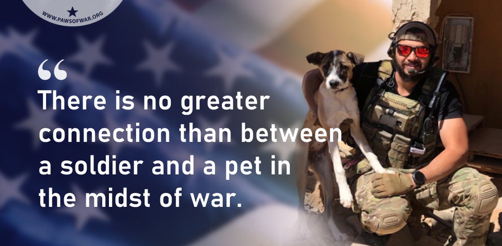 Help a Vet 🇺🇸 Save a Pet Support .@PawsofWarUSA NO COST: 🐾Mobile vet clinic 🐾Service 🦮 training 🐾Animal rescue for deployed military 🐾Housing assistance for vets w/pets 🐾Lifetime care for retired military working 🐕‍🦺 pawsofwar.org/war-torn-pups #ResistanceUnited #FreshUnity