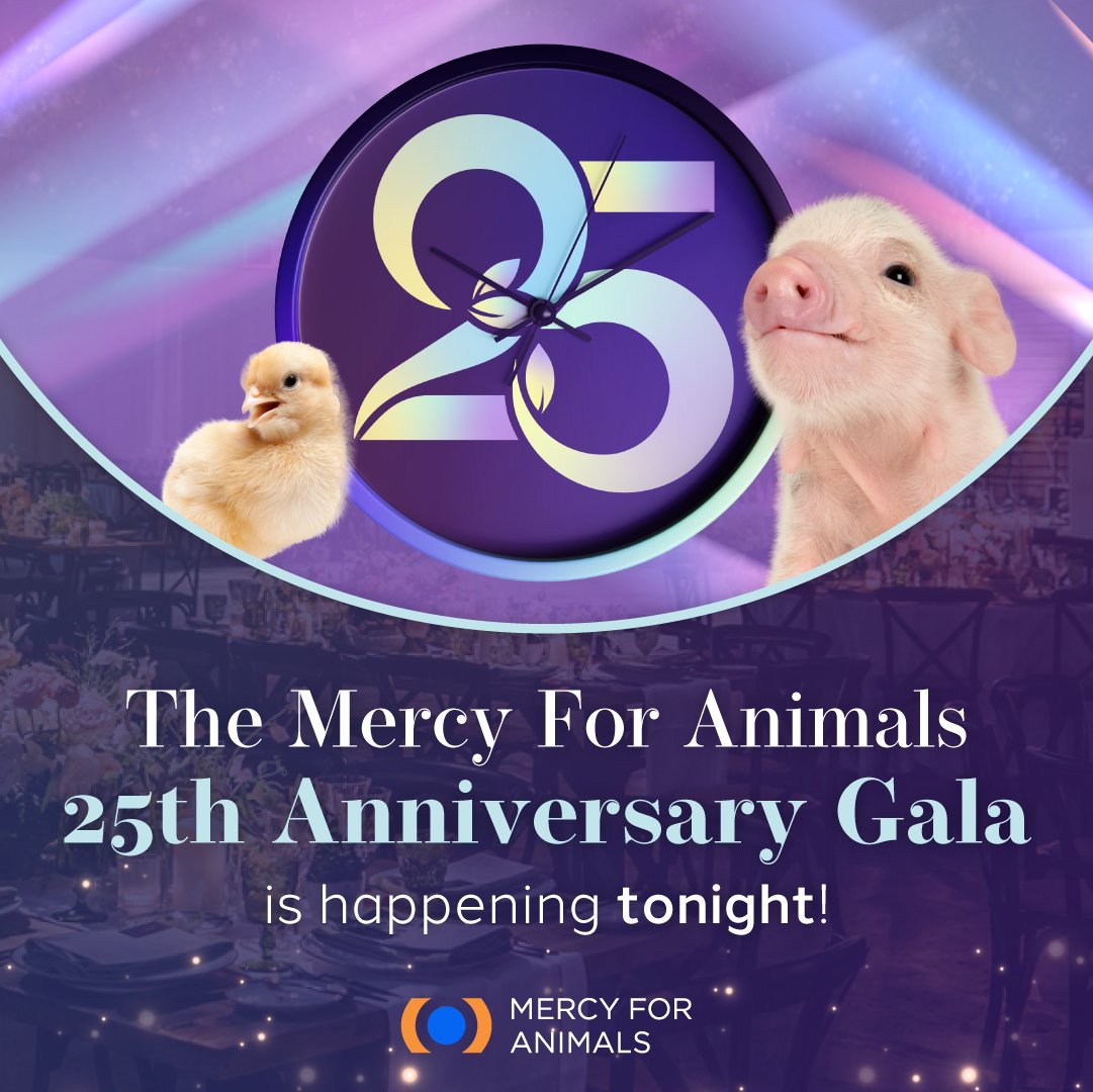 Mercy For Animals’ epic 25th anniversary gala is happening tonight! ✨ This magical evening will gather animal advocates, community changemakers, celebrities, and supporters who share our vision: a kinder world for all. Learn more at MFAGala.com. #MFAGala