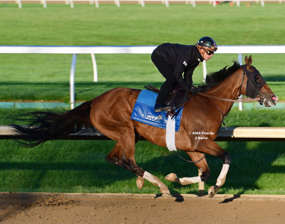 Frances J Karon tweet media