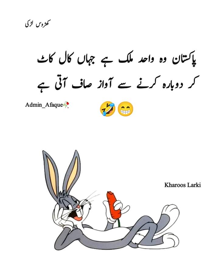 ✨ RIZWAN tweet media