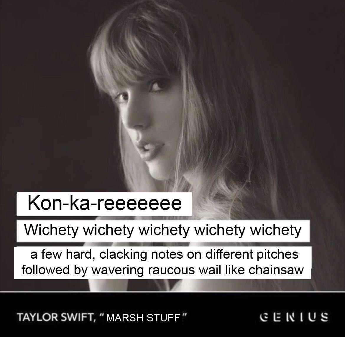 guttenbirder22's tweet photo. Who else is really digging this new album?? https://t.co/XYsHESYGkO