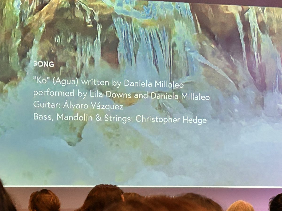 DanielaMillaleo's tweet photo. Estuve en la proyección de @waterforlifedoc , documental que relata la lucha de tres defensores de la tierra y el agua. Donde mi canción “KO” sale al final, cantada por @liladowns y yo … aún estoy llorando .. viva la lucha por el agua … viva Berta Cáceres. https://t.co/Qh3APrCnHM