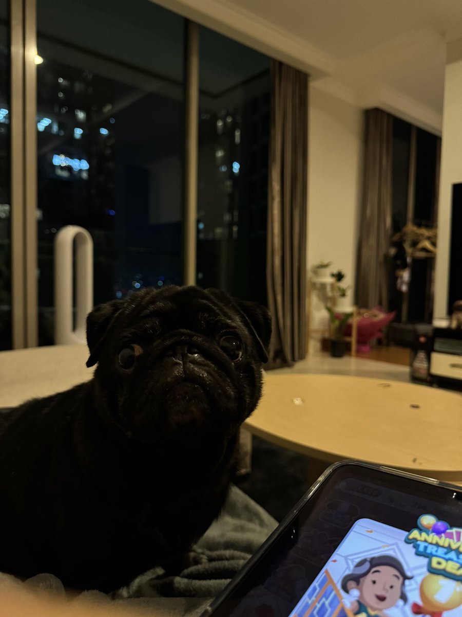 Your Royal Highness tweet media