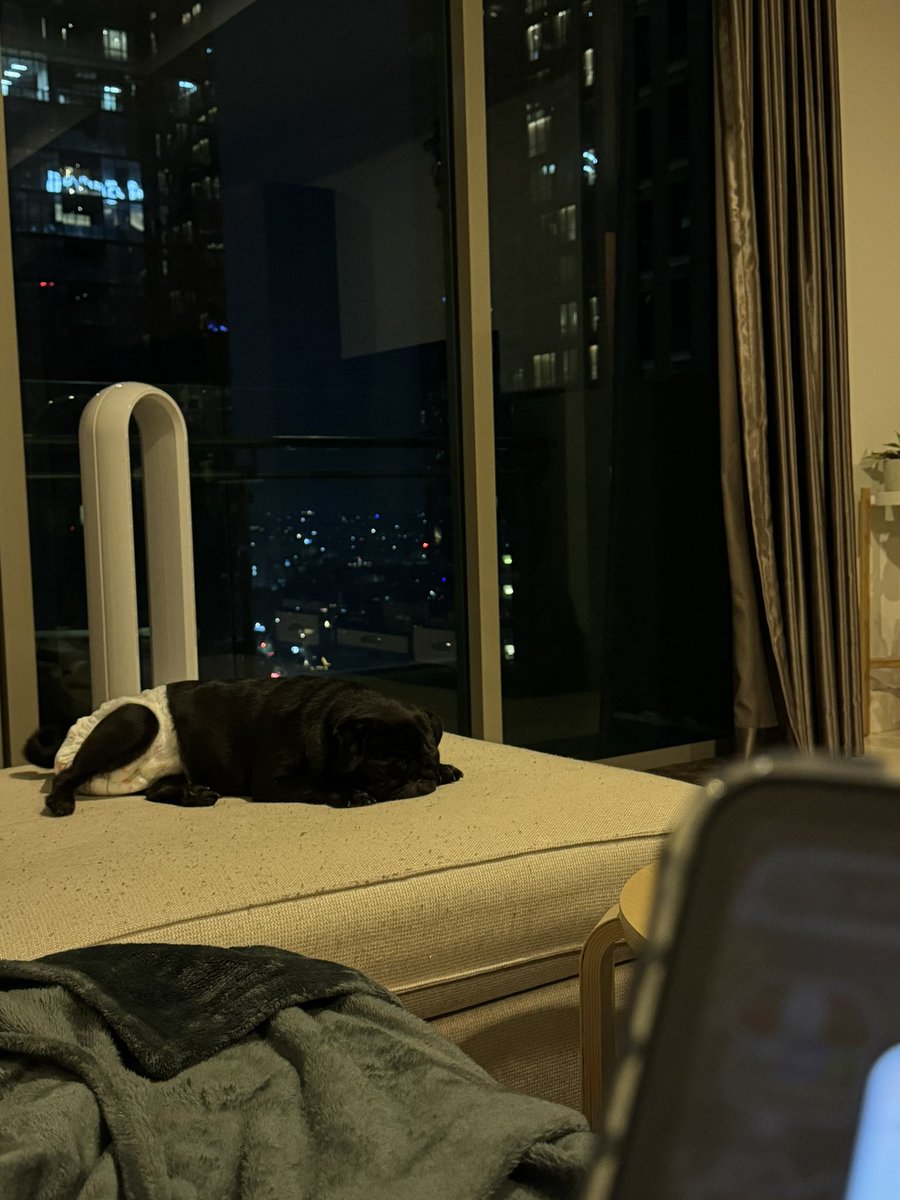 Your Royal Highness tweet media