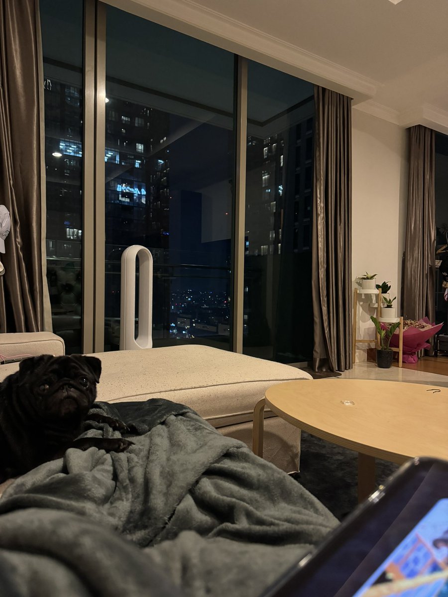 Your Royal Highness tweet media