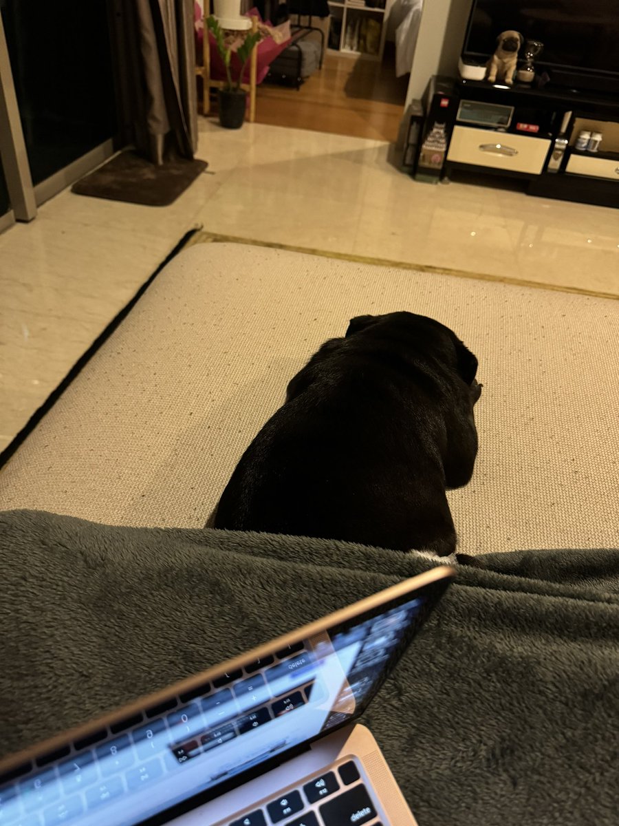 Your Royal Highness tweet media