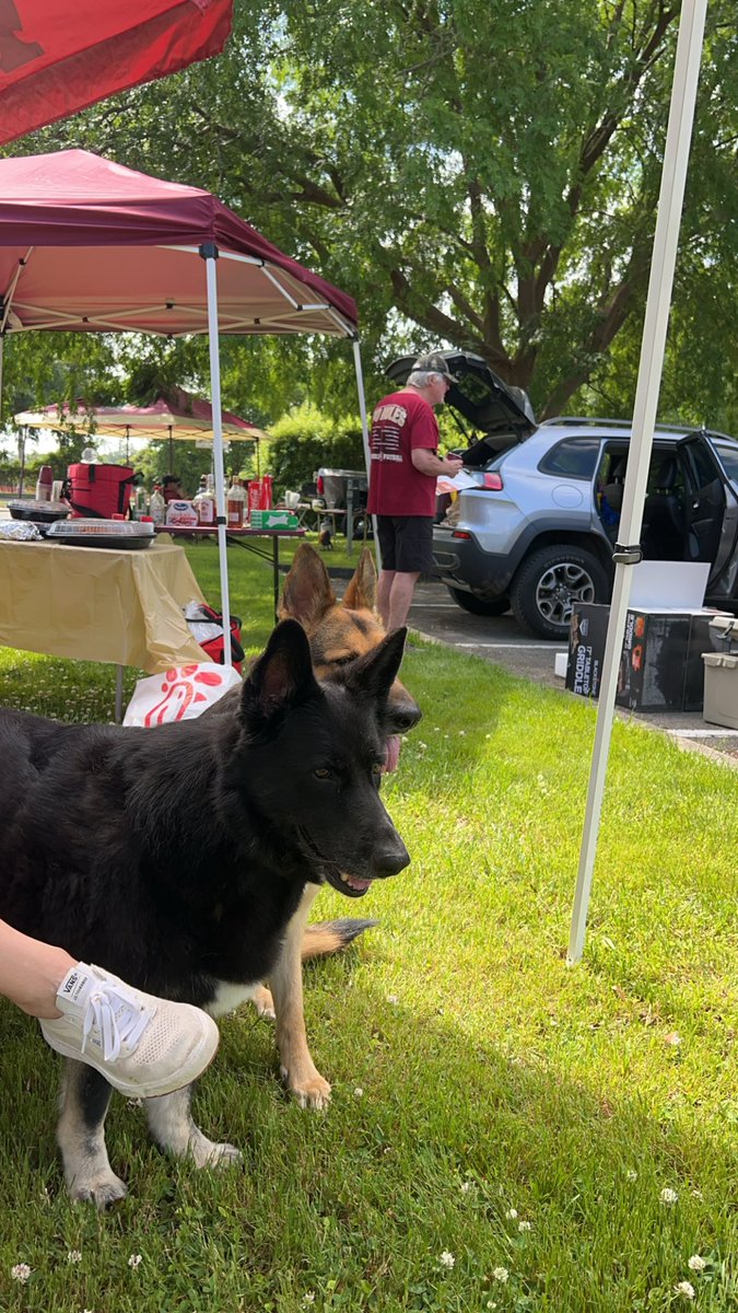 Tailgate Doggin’