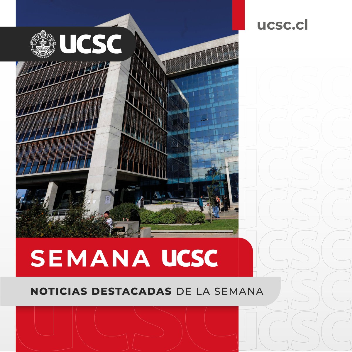 ucscconcepcion's tweet photo. #SemanaUCSC: Revisa un resumen de las principales novedades de nuestra Casa de Estudios.

🫱🏻‍🫲🏼 UCSC firma convenio de colaboración con la Universidad Pontificia de México: https://t.co/LAUv5G4XnI

🎓 Universidades del CRUCH Biobío Ñuble conmemoran 10 años del Programa PACE: https://t.co/shNqQ9jYuU

📚 Bibliotecas UCSC organizan una serie de actividades por el Mes del Libro: https://t.co/EFdE3JOyyU

#UCSCConcepción #EducaciónSuperior
