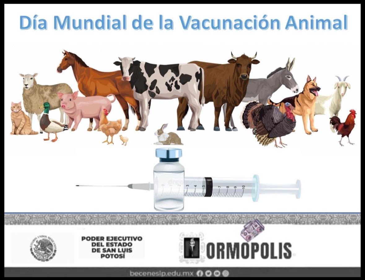 normopolisradio's tweet photo. ¡Protege a tus mascotas! 🐾 Consulta siempre a un Médico o Médica Veterinario Zootecnista para garantizar la salud de tu amigo peludo. #DíaMundialdelaVacunaciónAnimal #VacunaciónEsPrevención #BECENE #SEGE #SEER #AENP #FranciscoHernandez #NormópolisTambiénEsBECENE 🏥💉👩🏻⚕️🐶 https://t.co/Ad4gKD4Duv