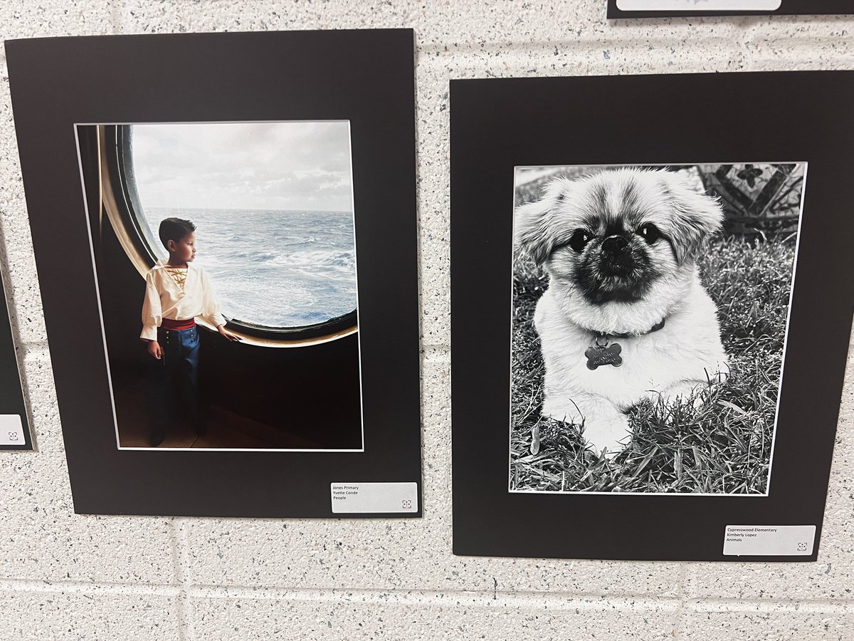 Our @CypresswoodES #TeacherArtClub photography is on display! Half of our photos are WINNERS!!! @AldineArt #proudteacher #CWoodCreates @TrentGJohnson @marlynn_montiel @c10burggy @DrWynneLaToya out student love seeing teacher work on display, they’re so proud too!
