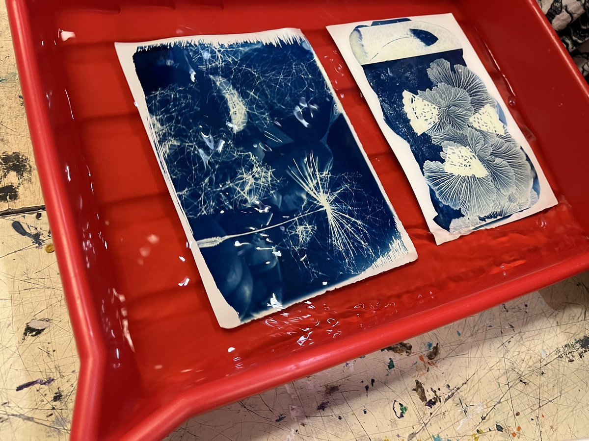 mervisalo's tweet image. Thrilled to see my staff Erin and Miranda shine at the Ontario Art Educators Association Conference! They led an inspiring workshop titled "Shades of Memories: A Cyanotype Workshop.” Everyone was engaged! So proud of their dedication to art education! #ArtEd #OntarioEducators