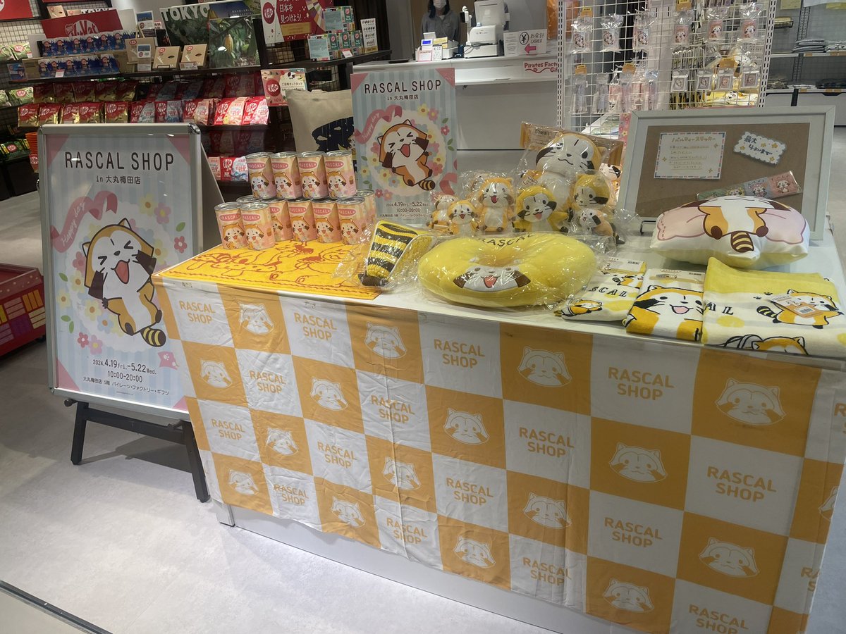 rasutaro_'s tweet photo. ラスカルショップin大丸梅田店に行ってきました！！大阪でショップ来たの阿倍野ぶりかな？？店員さんもとても良い方で、かわいいラスカルもいっぱい♡楽しかったー！ https://t.co/wwpn2zMhwf