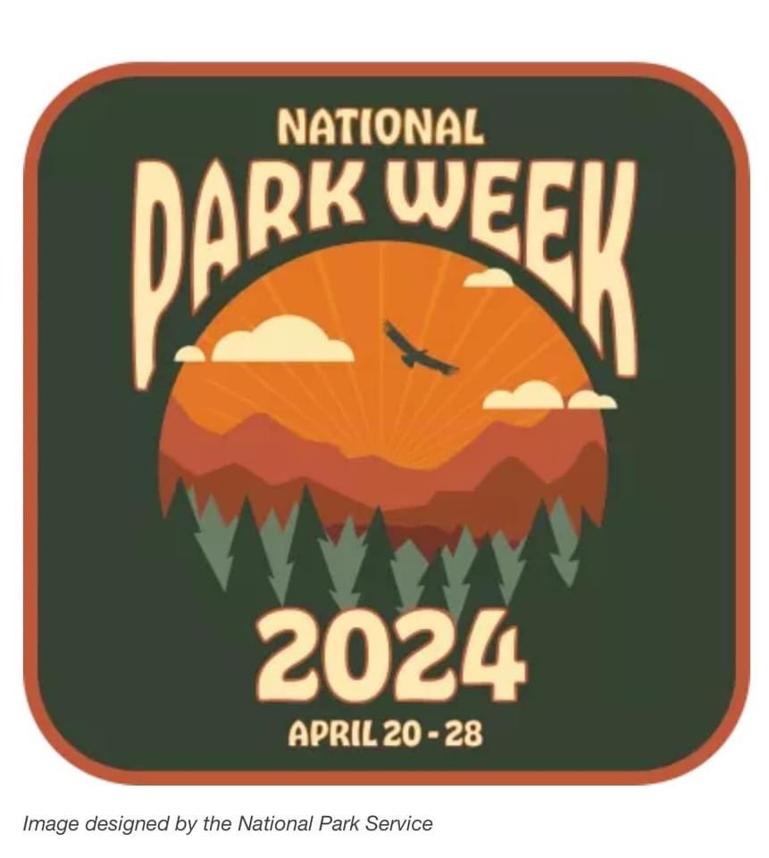 Nature of Wellness tweet media