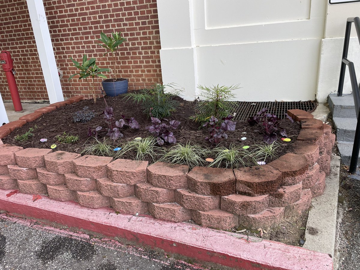 DrCSLPadgett's tweet photo. We had an amazing time today doing for our Earth Day activity: Eco Gardening Fiesta! Thank you to @stockdale_john @CounselingKirk &amp; Ms. Vicens-Garcia for leading the day! We appreciate everyone who came out to lend a hand! #WhereTheMagicHappens @DrTamaraCandis @kellymastro https://t.co/DNKezPsvB5