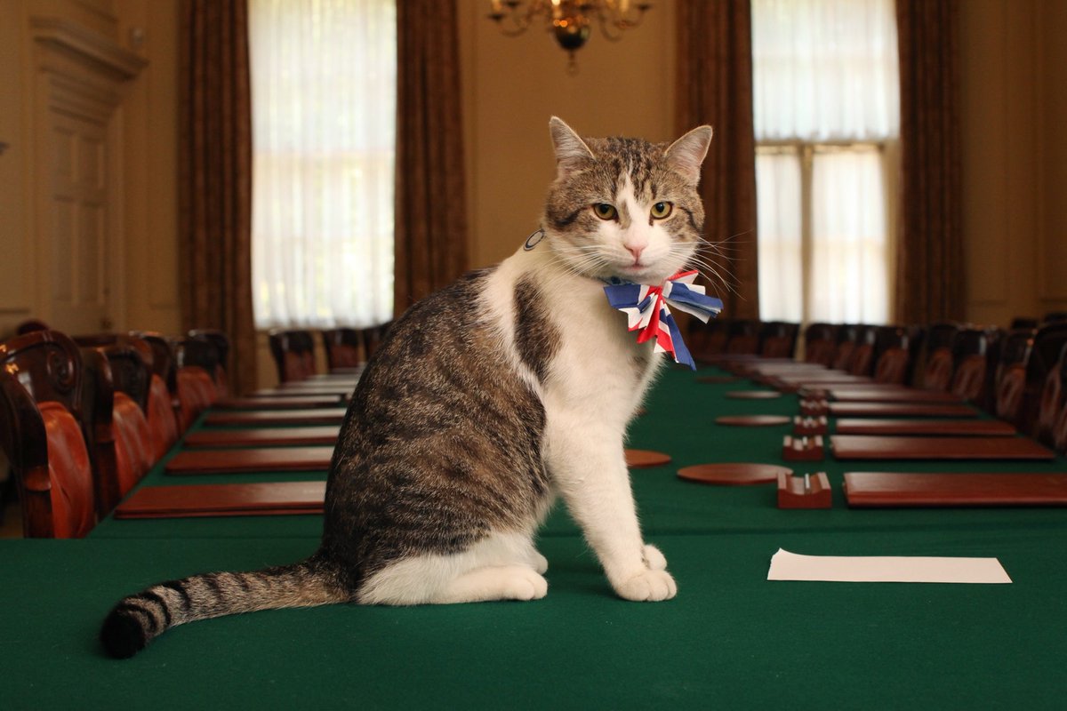 @archeohistories Better make sure Larry @Number10cat doesn't find out about this. Living in 10 Downing Street, he already thinks he's our head of government.

If he starts thinking he's an Egyptian demi god, Britain will be in even more trouble than it's in now.