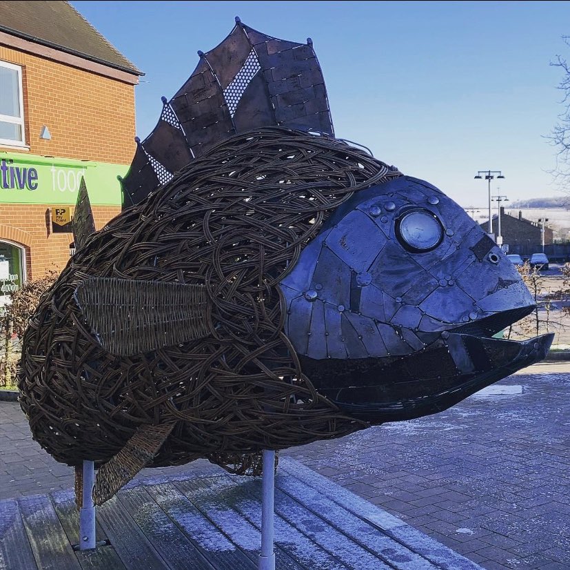 A MASSIVE FISH 🐟 I made and left outside a local co-op.. I believe it was to promote Looking after our Rivers, streams, Lakes, ponds and other watery places. 🐟 My son wasn’t impressed but I thoroughly enjoyed building this ginormous creature. #publicart #handmade #byme