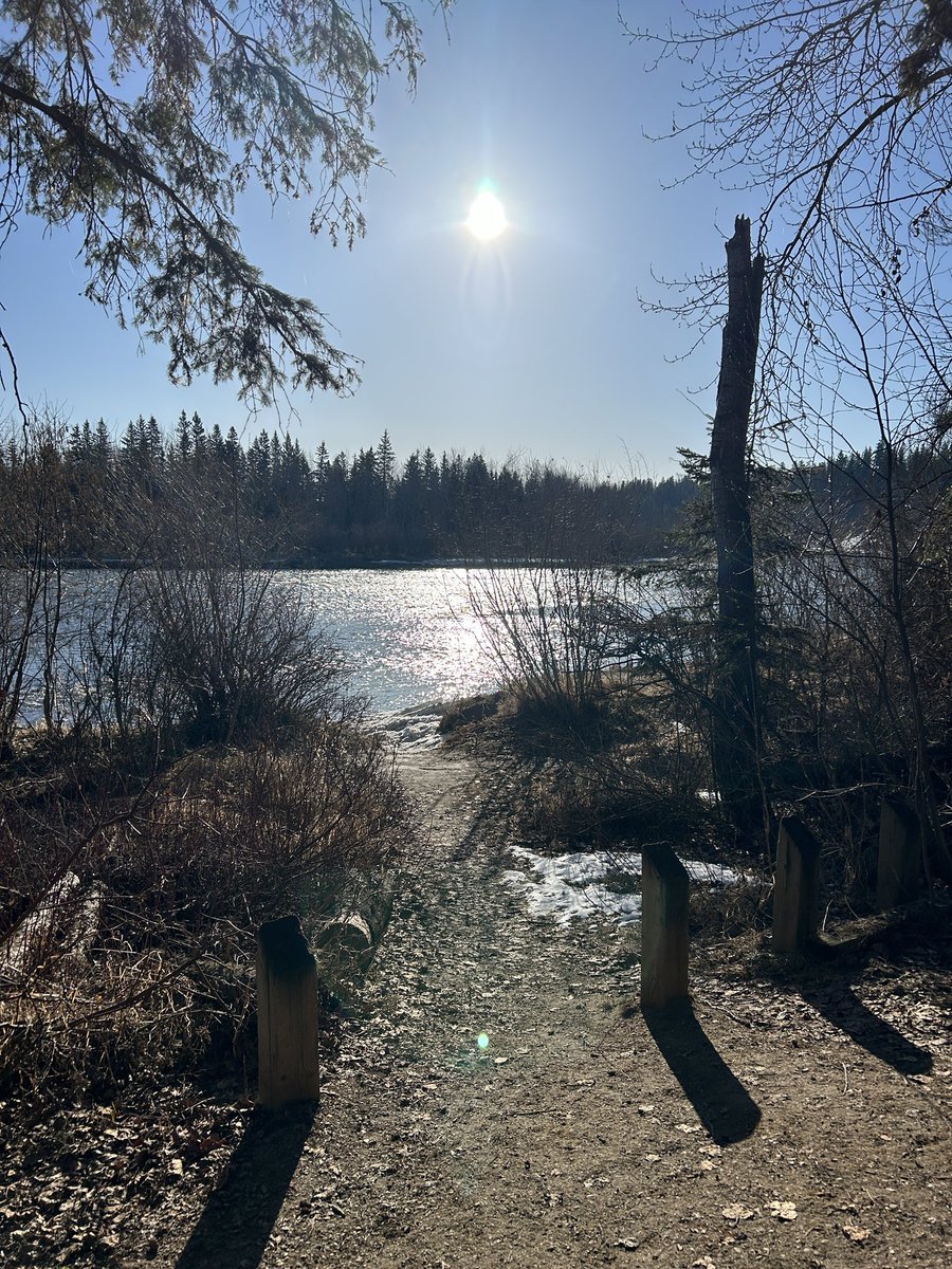 HatLawnBowler's tweet photo. A beautiful morning in Red Deer. #sharethetrailreddeer #springinalberta #reddeeralberta #reddeerriver https://t.co/LbgrlnnXzX