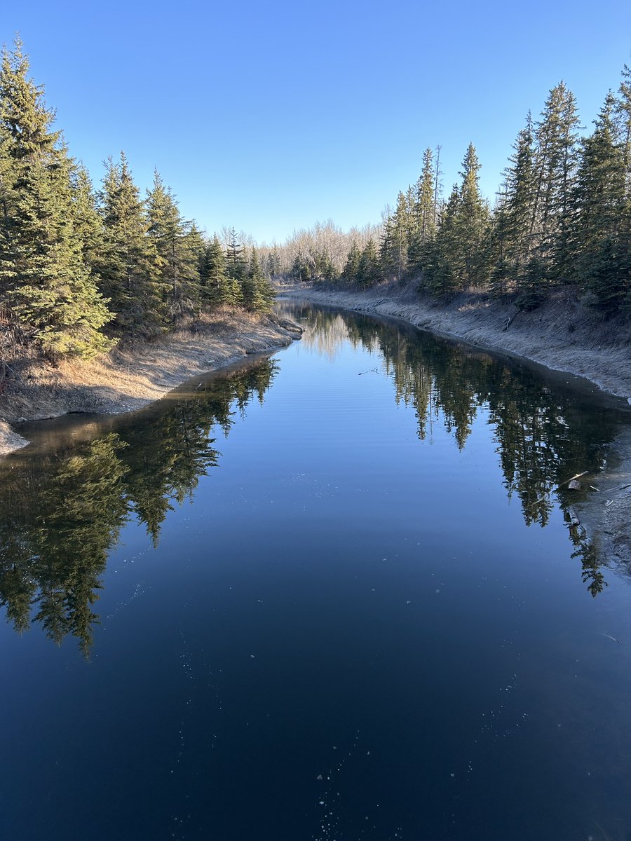 HatLawnBowler's tweet photo. A beautiful morning in Red Deer. #sharethetrailreddeer #springinalberta #reddeeralberta #reddeerriver https://t.co/LbgrlnnXzX