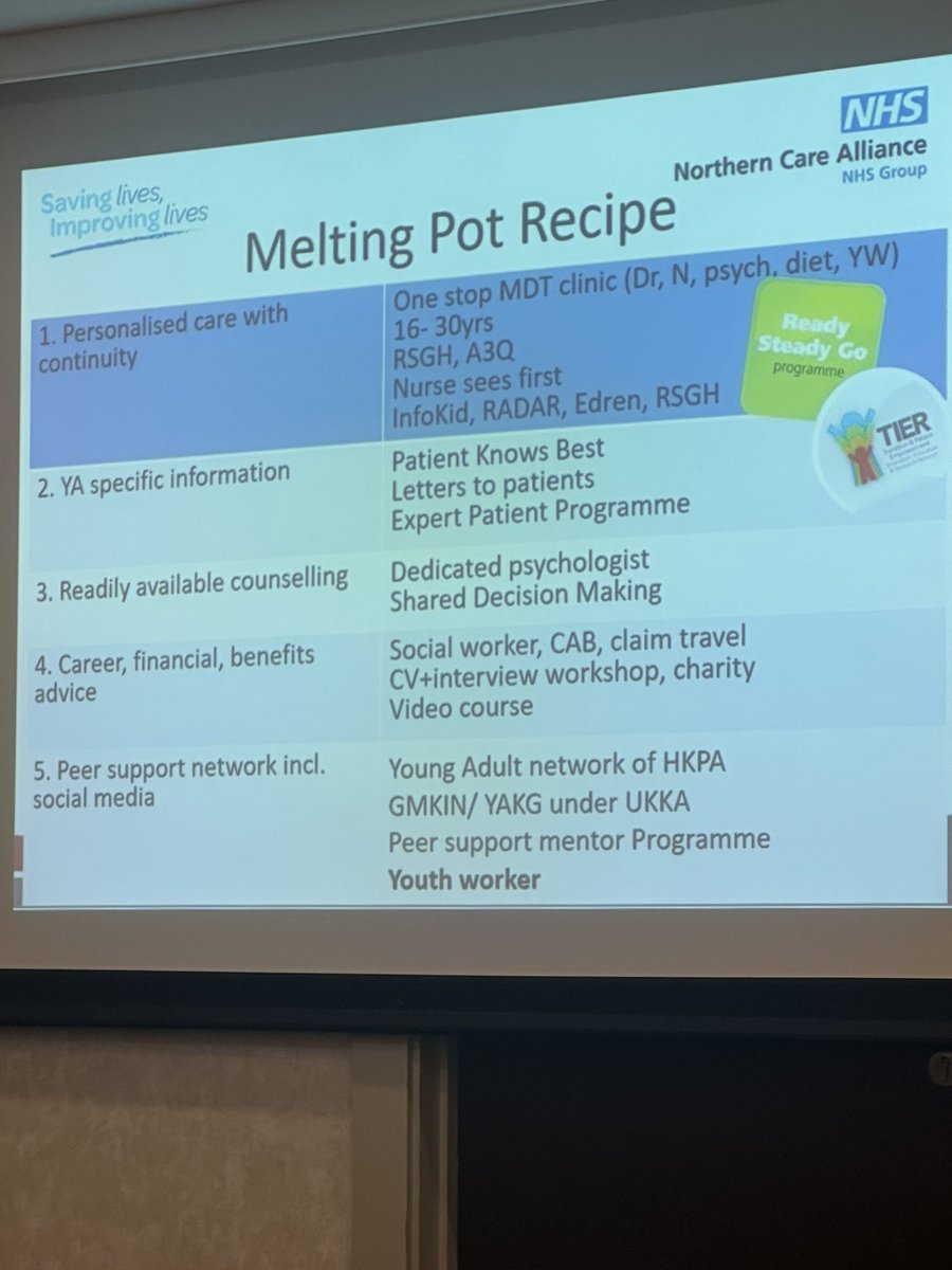The “melting pot recipe” for effective young adult kidney clinics! @tinachrysochou #sprclub2024