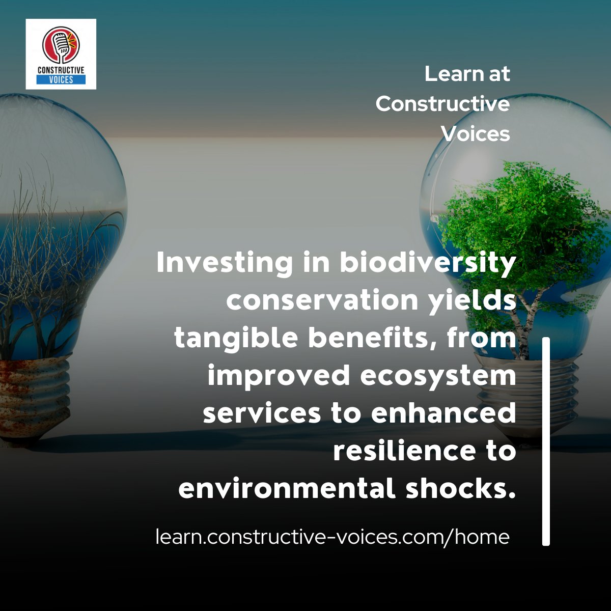 'Investing in biodiversity conservation yields tangible benefits, from improved ecosystem services to enhanced resilience to environmental shocks.' #biodiversity #biodiversitynetgain #training - learn.constructive-voices.com/home/