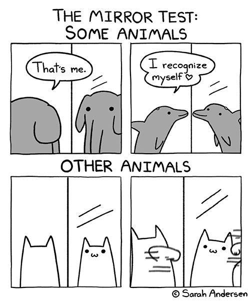 Sarah Andersen (@sarahcandersen) on Twitter photo 
