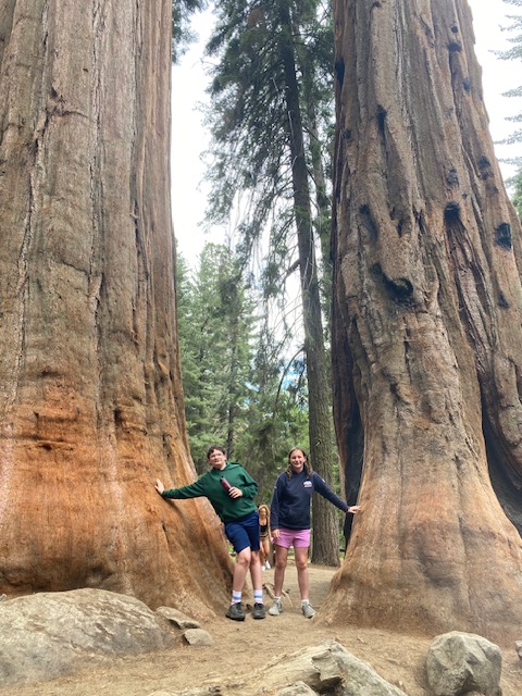 In honor of #NationalParksWeek, admission to our beautiful national parks is FREE today—including all nine in California. Each year, I try to get to as many parks as I can to enjoy the fresh air and breathtaking views, and, as a member of @NRDems, conduct oversight too!