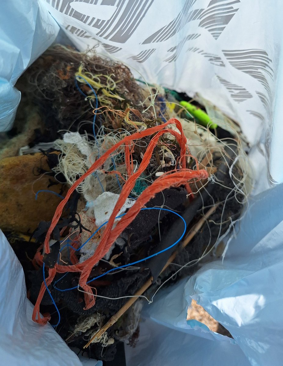 'Today I have been mostly #litterpicking nylon rope and monofilament...' #plasticpollution #litter #Jesse #TheFastShow