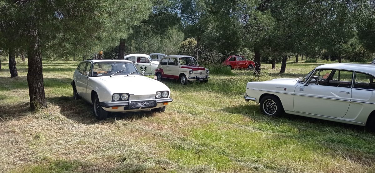 IsmaelGB18's tweet image. #Autopia 
Yo aparco por color..