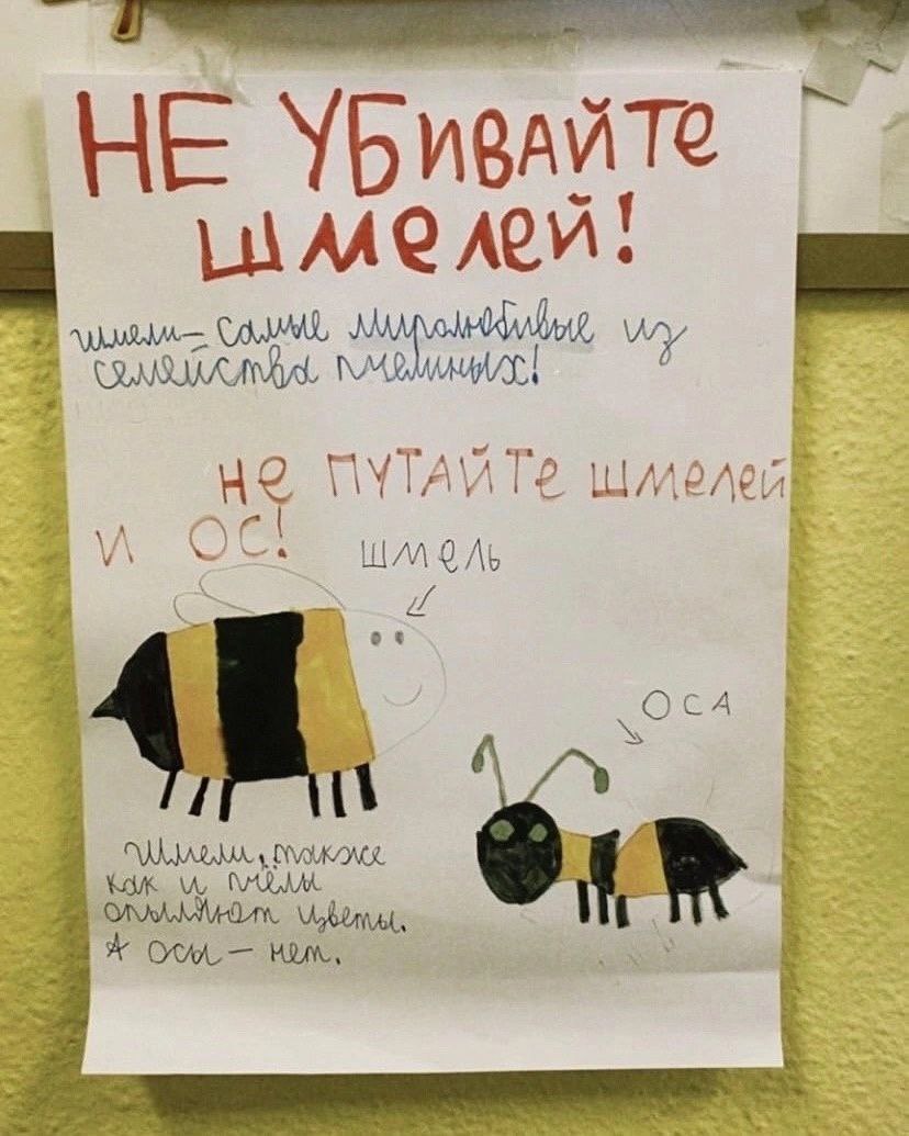 Важное объявление в подъезде