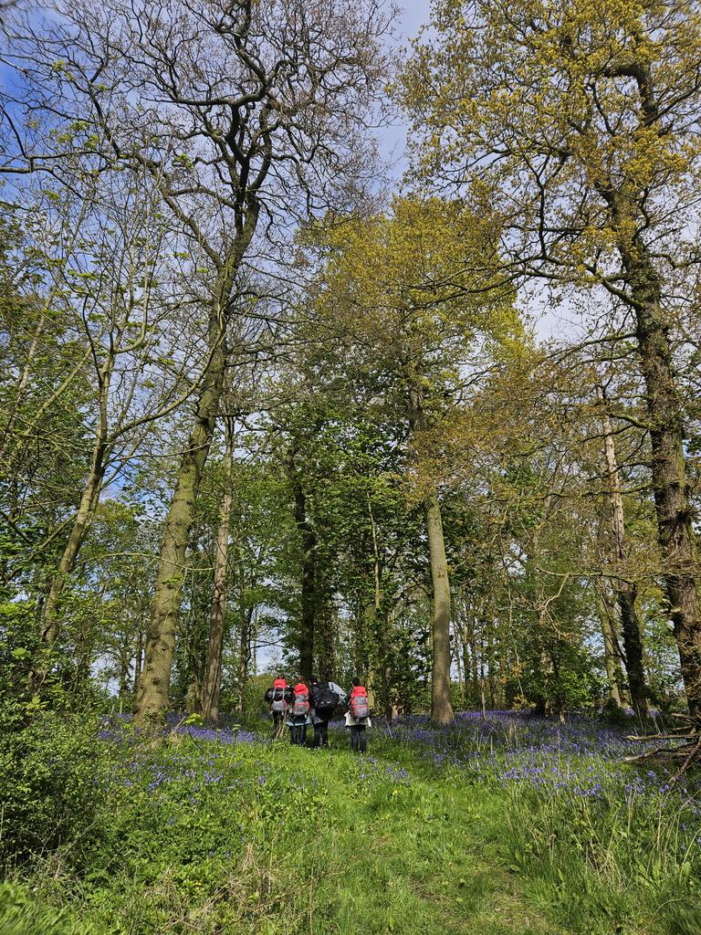 Tranby_DofE's tweet image. Our first #DofE expedition of the year! 4 Year 10 girls from @Tranby_school walked 7 miles from Great Hatfield to @BurtonConstable
Tents are up, and we shall start cooking tea at 5pm. Their expedition project is to document flora and fauna along the route.