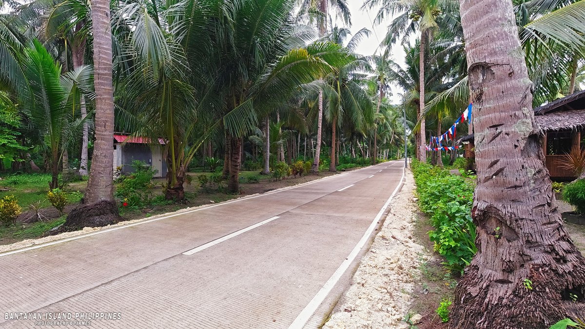 Island Life Therapy: The beautiful coconut palms line the west coast back roads for a scenic motorcycle ride: Bantayan Island Cebu, The Philippines #ThePhotoHour #travelphotography #StormHour #bantayanisland #bantayan #photography #islandlife #DJI #Cebu @TourismPHL
