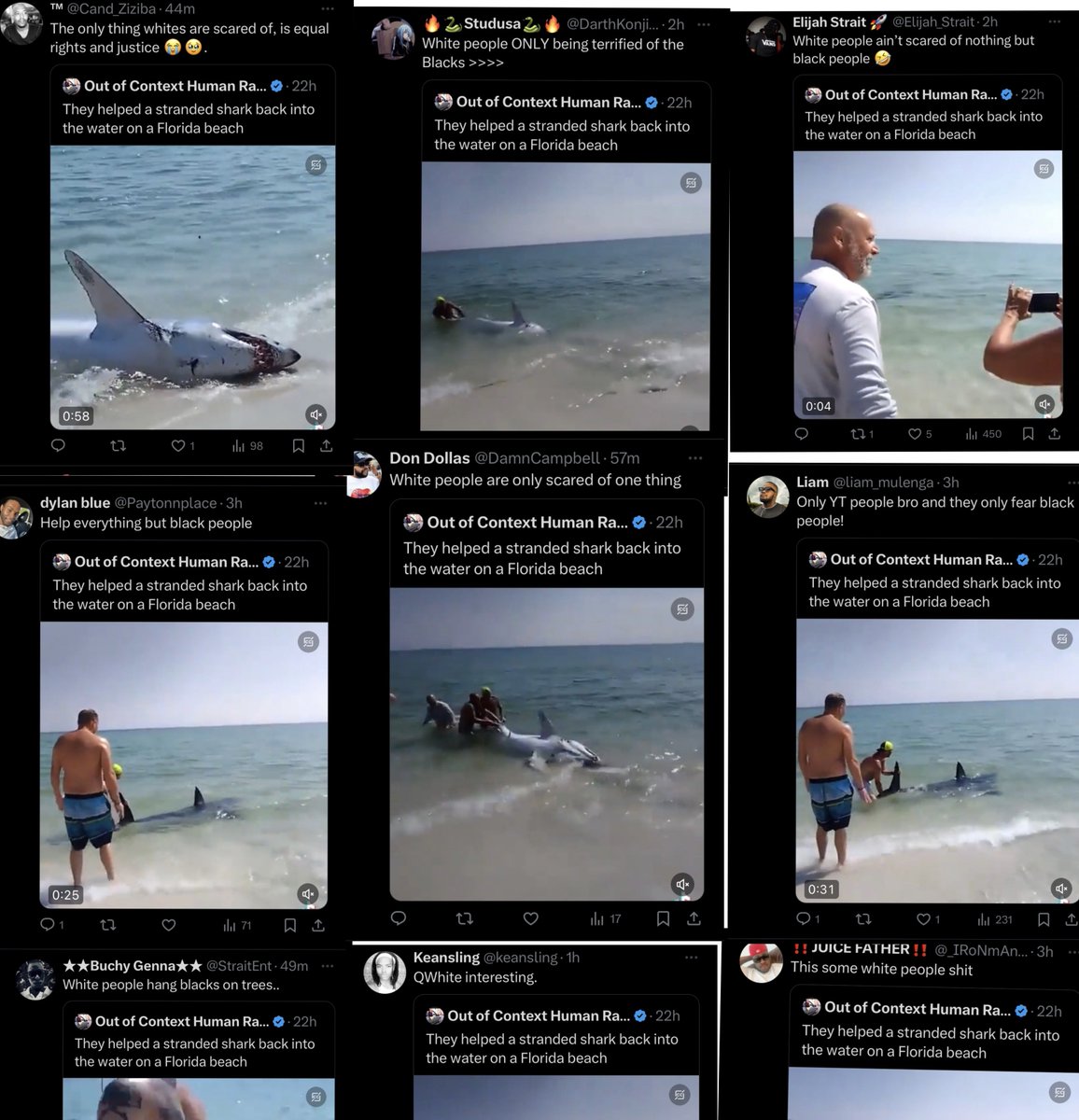 <White person helps a sea animal return to its natural habitat.> Blacks on Twitter express their hatred for Whites / feel entitled to White assistance. White people can just be sitting there doing nothing and it makes many melanated people apoplectic. Is there any social cure?