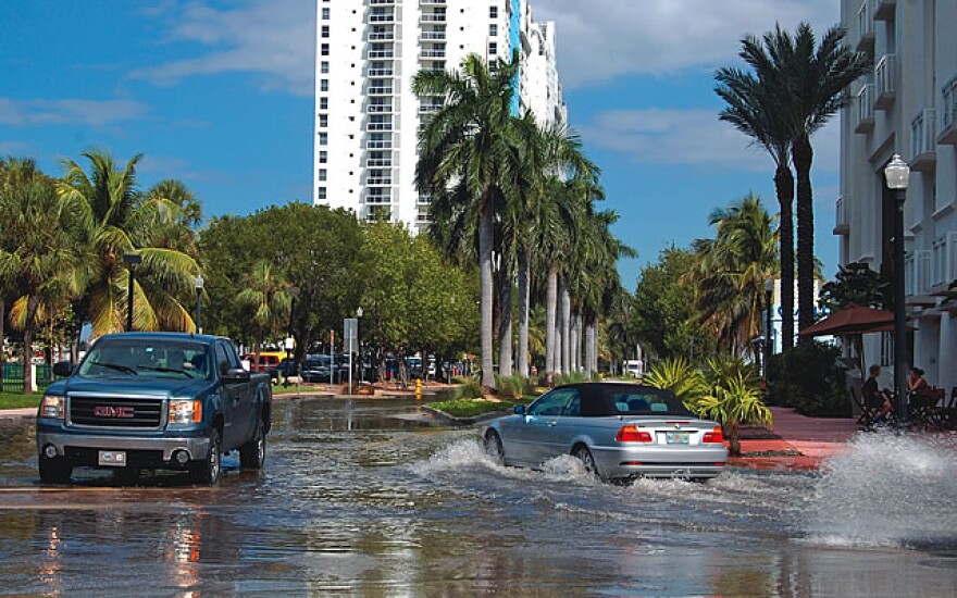 #EarthDay 
Warming seas & #ice sheet melting:
The dominant source of #SeaLevelRise
Courtesy of #FossilFuels & #Deforestation.
Plant a #Tree Folks!
 #JoeBiden 
#ClimateChange #RenewableEnergy👍👍 
#ElectricVehicles #Solar #Wind👍
#EarthDay2024 #Flooding 
#CNN 
#FoxNews #Newsmax👎